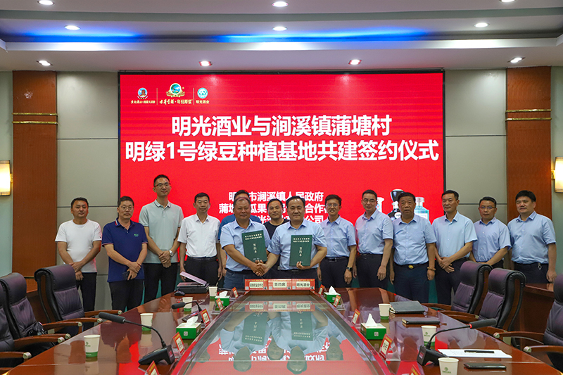 明光酒業舉辦綠豆基地共建簽約儀式